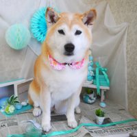 【山手店】2019年2月21日のワンちゃん達♪