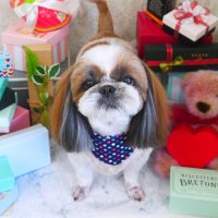 【山手店】2019年2月25日のワンちゃん達♪