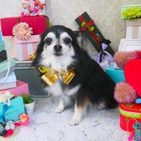 【山手店】2019年2月28日のワンちゃん達♪