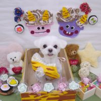 【池下店】2019年2月2日のワンちゃん達♪