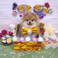 【池下店】2019年2月3日のワンちゃん達♪