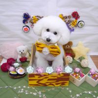 【池下店】2019年2月7日のワンちゃん達♪