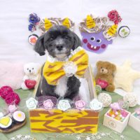 【池下店】2019年2月9日のワンちゃん達♪