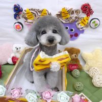 【池下店】2019年2月11日のワンちゃん達♪