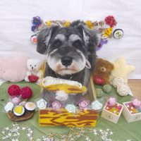 【池下店】2019年2月17日のワンちゃん達♪