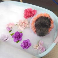 【池下店】2019年2月22日のワンちゃん達♪