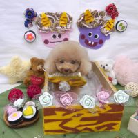 【池下店】2019年2月23日のワンちゃん達♪