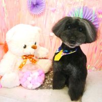 【本店】2019年2月21日のワンちゃん達♪