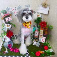 【山手店】2019年3月31日のワンちゃん達♪