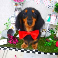 【山手店】2019年4月19日のワンちゃん達♪