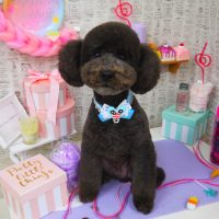 【山手店】2019年5月9日のワンちゃん達♪