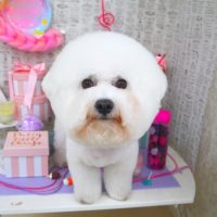 【山手店】2019年5月10日のワンちゃん達♪