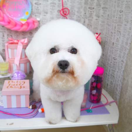 【山手店】2019年5月10日のワンちゃん達♪