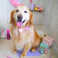 【山手店】2019年5月19日のワンちゃん達♪