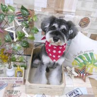 【池下店】2019年5月19日のワンちゃん達♪