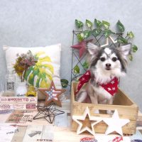 【池下店】2019年5月24日のワンちゃん達♪