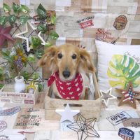 【池下店】2019年5月27日のワンちゃん達♪