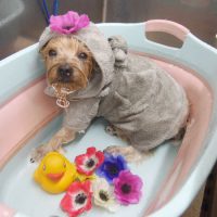 【池下店】2019年5月29日のワンちゃん達♪