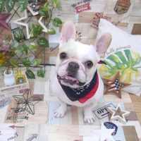 【池下店】2019年5月31日のワンちゃん達♪