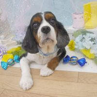 【池下店】2019年6月3日のワンちゃん達♪