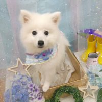 【池下店】2019年6月14日のワンちゃん達♪