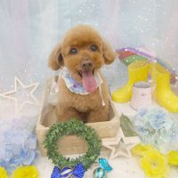 【池下店】2019年6月24日のワンちゃん達♪