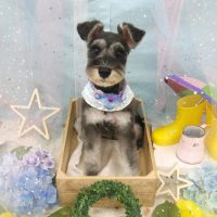 【池下店】2019年6月28日のワンちゃん達♪