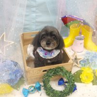 【池下店】2019年6月30日のワンちゃん達♪