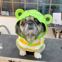 【池下店】2019年8月30日のワンちゃん達♪