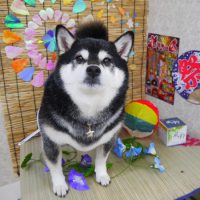 【山手店】2019年8月2日のワンちゃん達♪