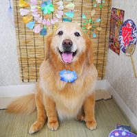 【山手店】2019年8月4日のワンちゃん達♪