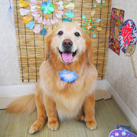 【山手店】2019年8月4日のワンちゃん達♪