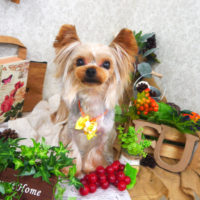 【山手店】2019年9月7日のワンちゃん達♪