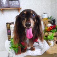 【山手店】2019年9月14日のワンちゃん達♪