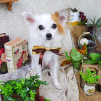 【山手店】2019年9月21日のワンちゃん達♪