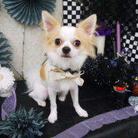 【山手店】2019年9月28日のワンちゃん達♪