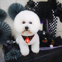 【山手店】2019年10月10日のワンちゃん達♪