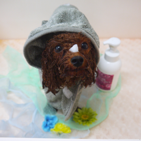 【山手店】2019年10月18日のワンちゃん達♪