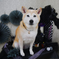 【山手店】2019年10月25日のワンちゃん達♪