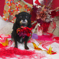 【山手店】2019年10月30日のワンちゃん達♪