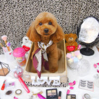 【池下店】2019年10月4日のワンちゃん達♪