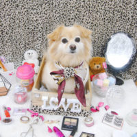 【池下店】2019年10月10日のワンちゃん達♪