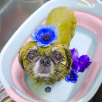 【池下店】2019年10月24日のワンちゃん達♪