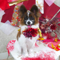 【山手店】2019年11月2日のワンちゃん達♪