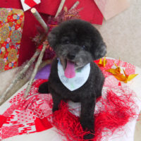 【山手店】2019年11月10日のワンちゃん達♪