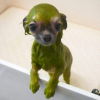 【山手店】2019年11月25日のワンちゃん達♪