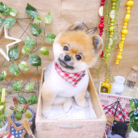 【池下店】2019年11月11日のワンちゃん達♪