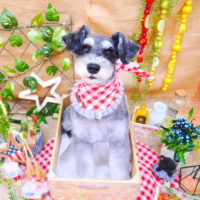 【池下店】2019年11月25日のワンちゃん達♪