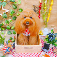【池下店】2019年11月28日のワンちゃん達♪