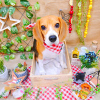 【池下店】2019年11月30日のワンちゃん達♪